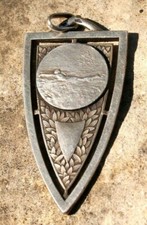 médaille natation en argent