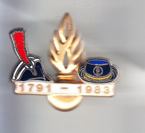 Rare pins pin gendarmerie - rare, pin's