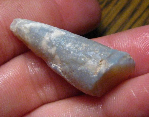 Fossile pipe belemnite - o&co,