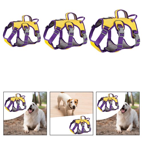 Harnais pour chien avec - pour,