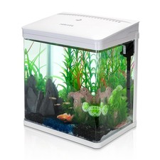 Aquarium en Verre avec