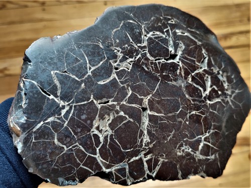 Rare septaria poli sidérite - septaria,