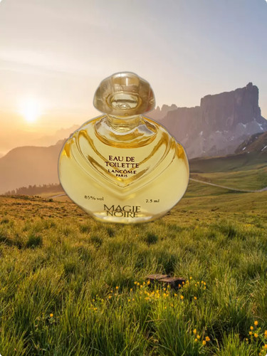 Magie noire eau toilette - eau, de