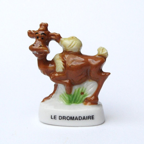 Cyb fève dromadaire - cyb-,