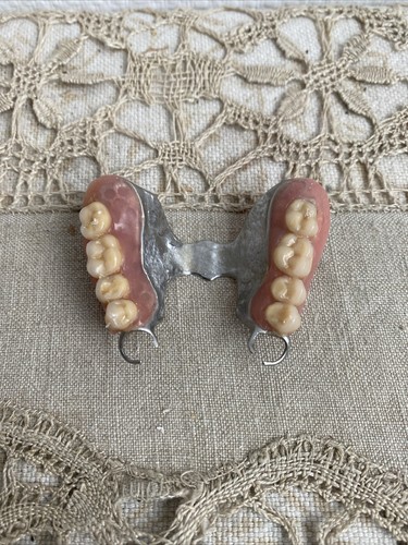 Ancien dentier fausse - fausse, dent