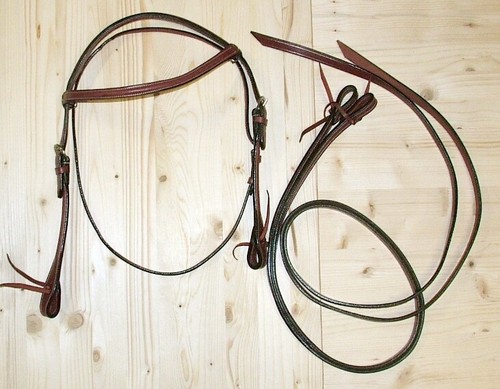 Bridon western pony - pony, plein