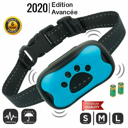 Collier chien anti aboiement - chien,