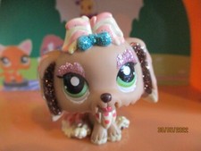 Petshop chien shih tzu #2155