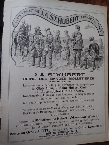 Molletière saint hubert - saint, +
