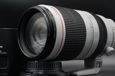 Canon EF 100-400mm f/4.5-5.6 L