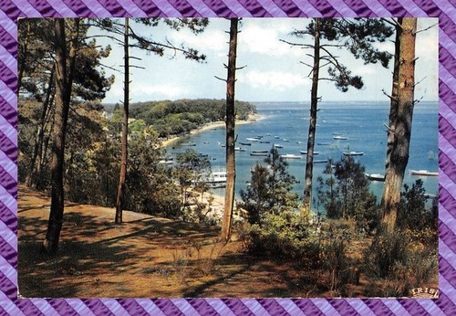 Cpm bassin arcachon - 33,