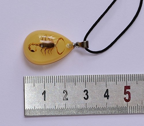 Pendentif vrai scorpion - pendentif,