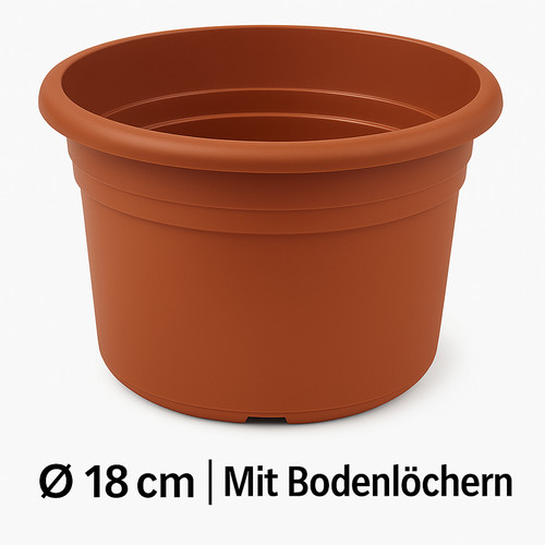 Pot fleur fleurs - pot,
