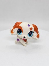 Cocker Spaniel #2688, Littlest