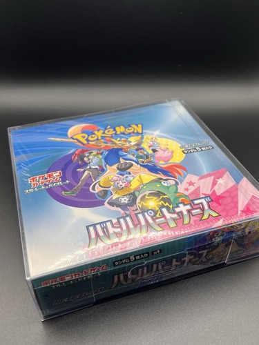 Pokémon battle partners - battle,