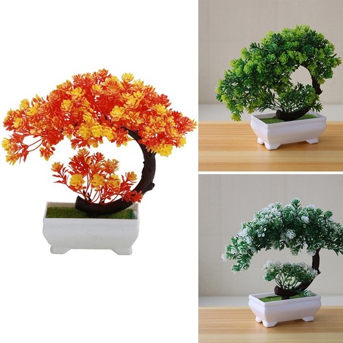 Plante artificielle bonsaï - plante,