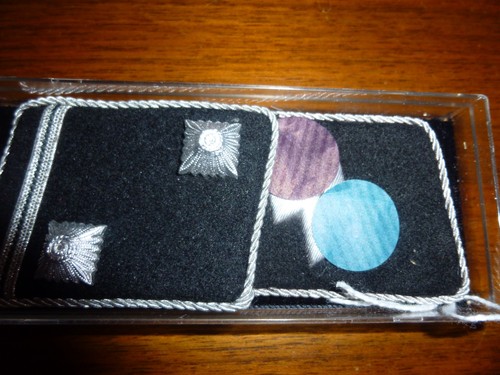 Pattes col insignes argent - insignes,