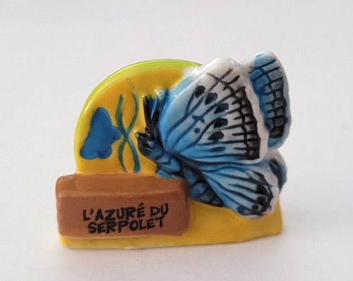 Fève papillon azuré - fève,
