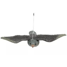 Réaliste oiseau volant pigeon
