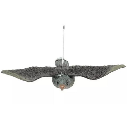 Aliste oiseau volant - oiseau,