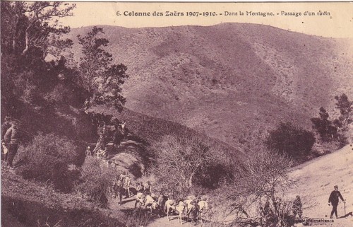 Carte postale ancienne