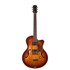 Godin 6 String Electric