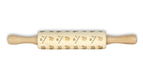 Chihuahua poil long - poil,