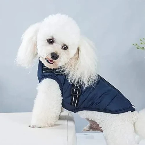 Manteau hiver imperméable - manteau,