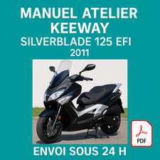 Manuel Atelier Keeway