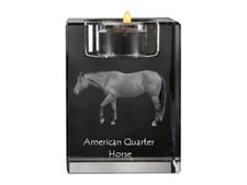 Quarter Horse américain