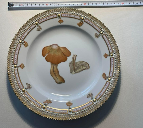 Grande assiette royal - grande,