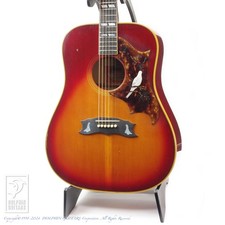 Gibson Dove Custom 1974