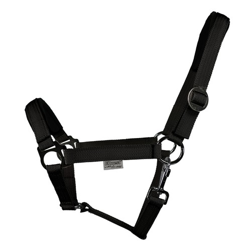 Equest licol regular plus - equest,
