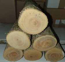 Pour tournage,  rondins buis (boxwood)  Ø 65 moyenne longueur 300 millimètre