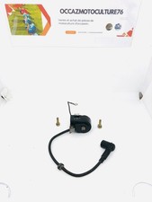 Bobine D’allumage Souffleur Stihl BR 320/400/420 Réf: 4203 400 1301