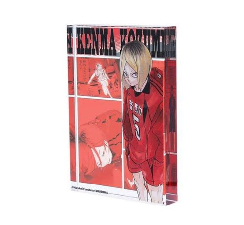 Bloc acrylique haikyuu heroes - acrylique,