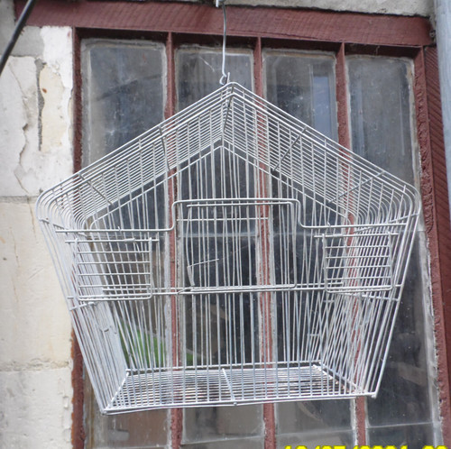 Cage oiseau vintage en - oiseau,