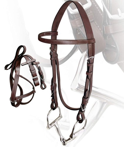 Bridon exercice cuir avec - en,