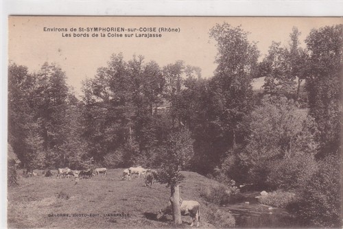Carte postale postcard - /,