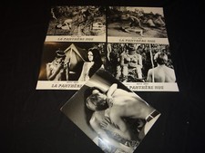 LA PANTHERE NUE : Ruggero