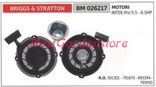 Moteur Tondeuse Briggs &