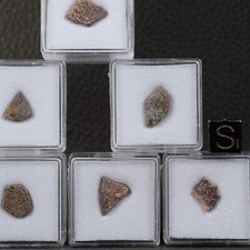 Une Coquille d'œuf de