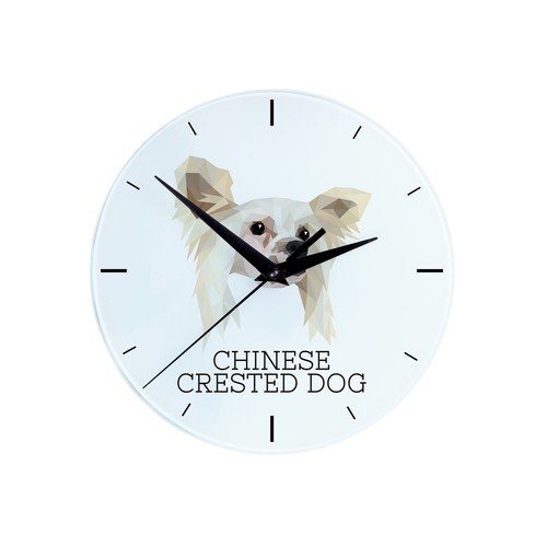 Chien chinois crête - chien,