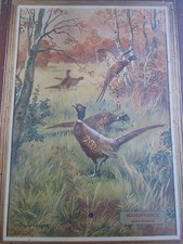 ANCIENNE GRANDE CHROMOS MANUFRANCE FAISANS CHASSE     