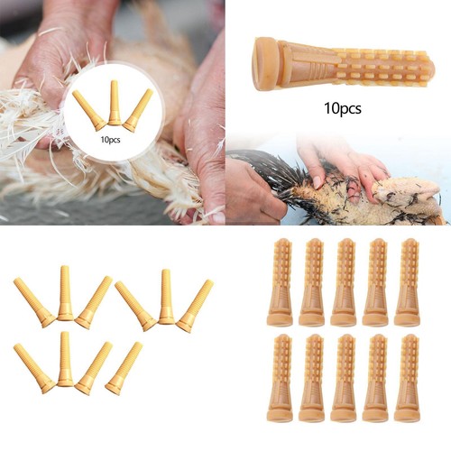 Doigts pour plumeuse à - 10,