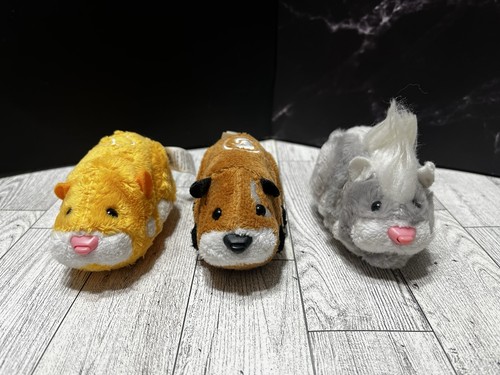 Lot zhu pets - zhu,