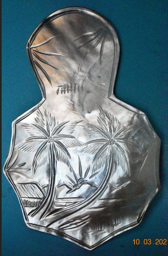 Sea shell pteriidae - --,
