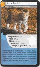 Carte Bioviva ! - Lynx boréal