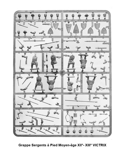 Victrix grappes sergents - grappes, à