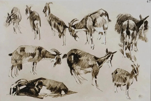 Mathurin meheut la chèvre - mathurin,